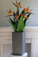 Strelicja Fiberlass, egzotyczna dekoracja podłogowa