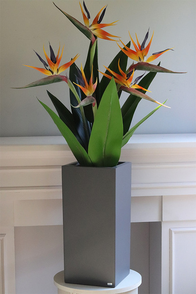 Strelicja Fiberlass, egzotyczna dekoracja podłogowa