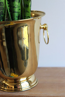 Sansewieria Gold Cooler, zielona dekoracja