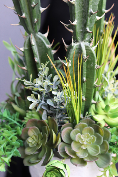 Cacti Saute B, sukulenty z kaktusem w stretchu, wys.68cm