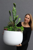 Desideria 2 Cacti Fiberglass, sukulenty z kaktusem w białej donicy, wys. 92cm