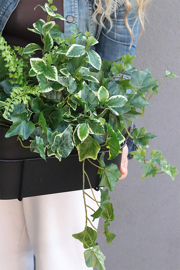 Bluszcz Modern, kompozycja roślinna w donicy na balkon