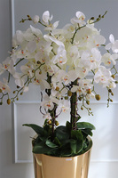 Golderia Side 2, elegancki storczyk podłogowy w złotej donicy, wys.130cm 