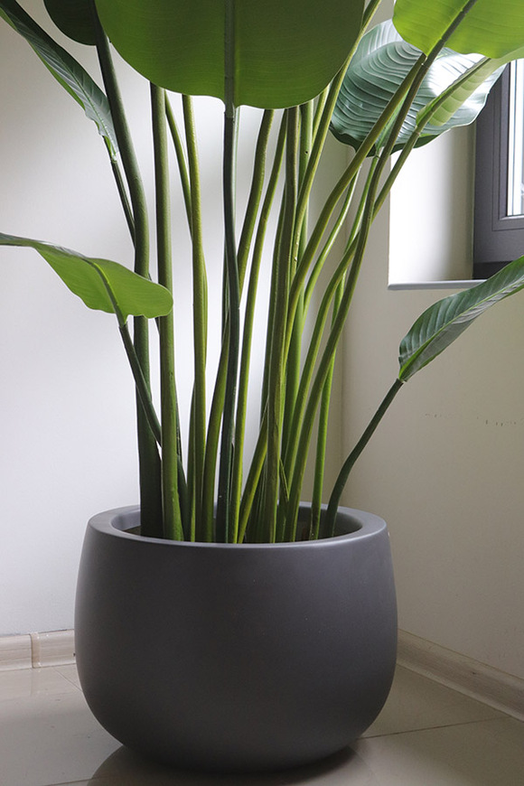 Bananowiec Walter, sztuczna roślina w donicy fiberglass