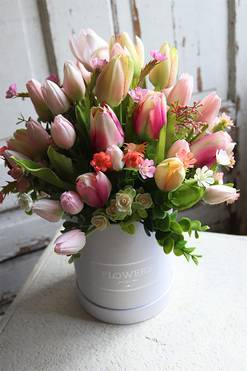 flowerbox z tulipanami, Modeno, wys.39cm