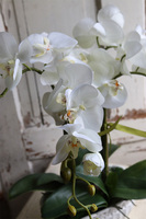 Nefalo, sztuczny storczyk w ceramicznej ażurowej donicy, wys.50cm