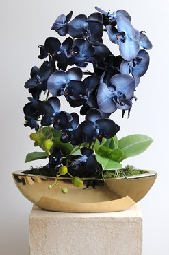 Laos Blueterre Gold, granatowy sztuczny storczyk w donicy, wys.55cm