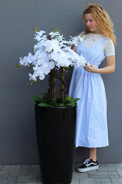 Lechuza Grande Premium Big, biały, sztuczny storczyk, wys.140cm