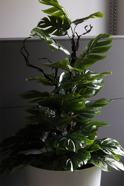 drzewko sztuczne Monstera Mediolan