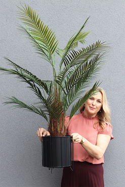 Palma Thaiti Black, sztuczna roślina w ozdobnej donicy, wys.130cm