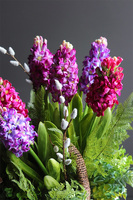 Terresa Big New, bogaty kosz z hiacyntami