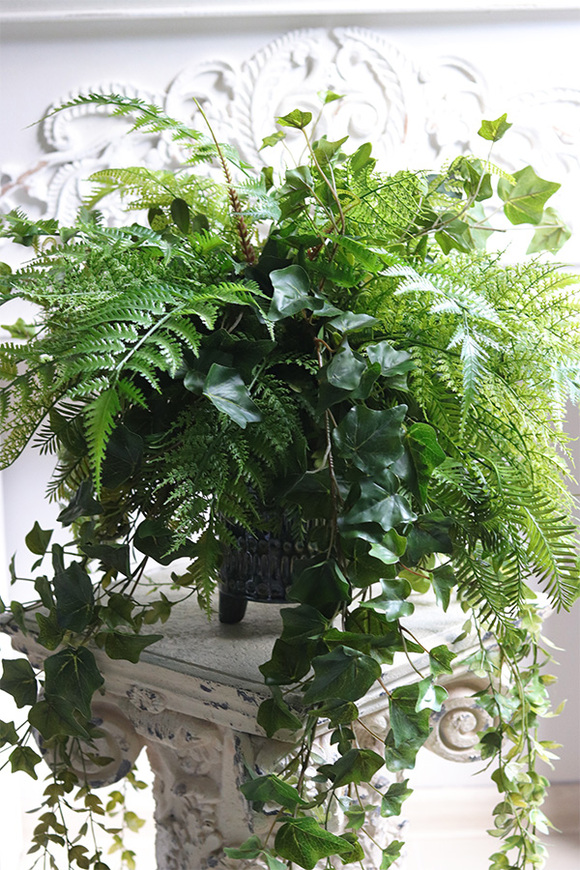 Amazonia, zielona kompozycja w donicy na nóżkach