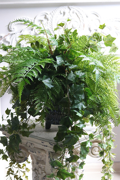 Amazonia, zielona kompozycja w donicy na nóżkach