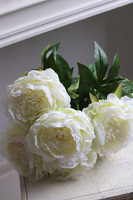 Love Me, bukiet peonii do wazonu, kremowe
