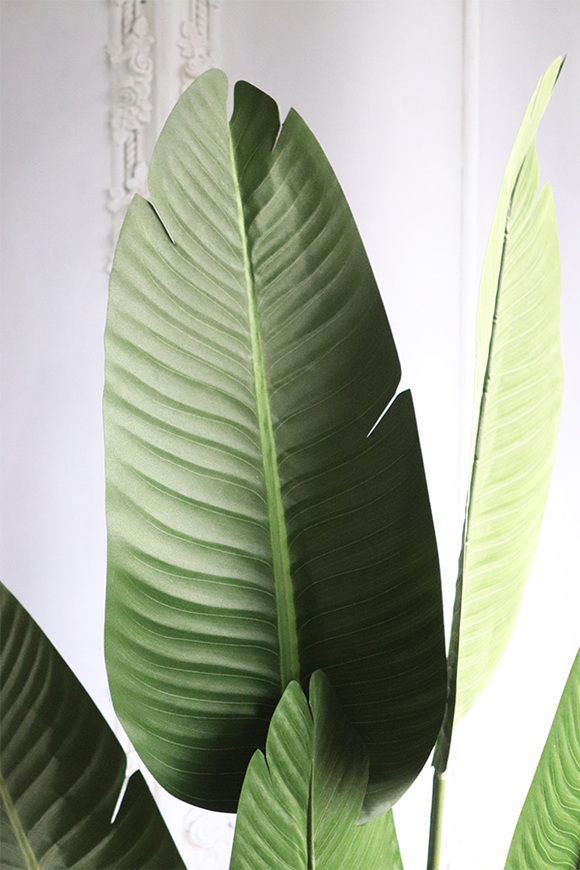 Bananowiec, sztuczne drzewko w osłonce donicy