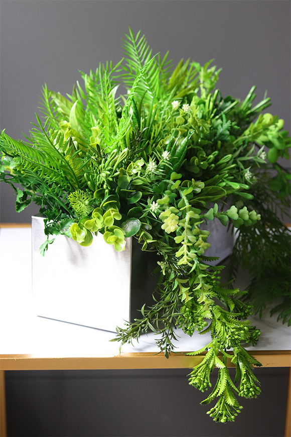 Krelia Saute, sukulenty do twojej donicy