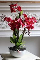 Malinovy, sztuczny storczyk w doniczce