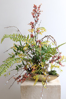 Gerrte, stroik wielkanocny w złotej donicy, wym.60x50x45cm