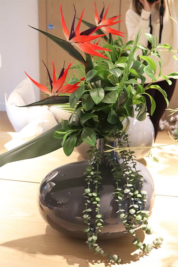 Strelicja Moko, egzotyczny bukiet do wazonu