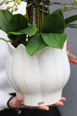 OD RĘKI Green Tulippo, gumowy zielony storczyk w doniczce, wys.70cm 