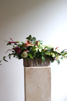 Leddenia, dekoracja nagrobna w skrzynce, wym.80x32x35cm