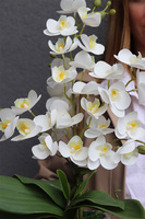 Kulena Tall 3, gumowy storczyk w etno donicy