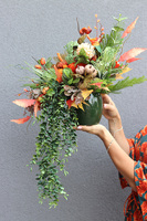 Ladies First Pumpkin A, jesienna kompozycja, wys.40cm