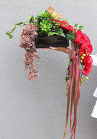 Orchidde Karminetta A, kompozycja sukulentów w donicy, wys.26x48cm