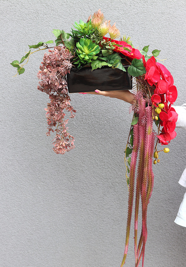 Orchidde Karminetta A, kompozycja sukulentów w donicy, wys.26x48cm