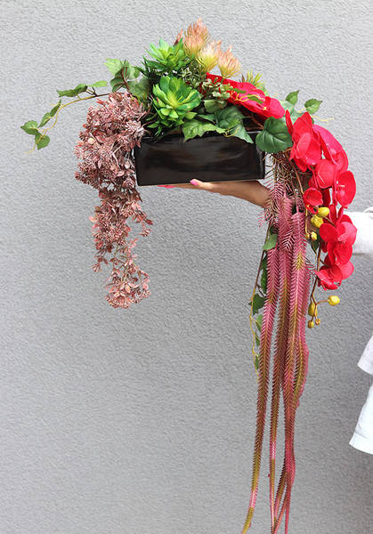 Orchidde Karminetta A, kompozycja sukulentów w donicy, wys.26x48cm