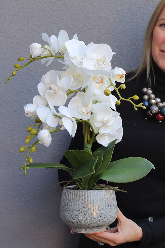 Ferelita Mineni 3, stylowy storczyk w doniczce ze wzorem