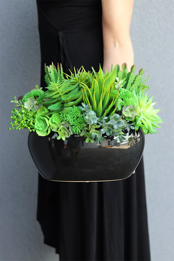 Black Grefia, kompozycja sukulenty w donicy, wym.27x31cm