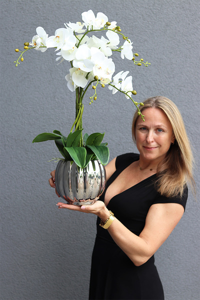 Hydrasio Silver, elegancki storczyk w srebrnej donicy, wys.69cm 