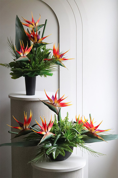 Crowne Amazonka, kompozycja nagrobna ze strelicją