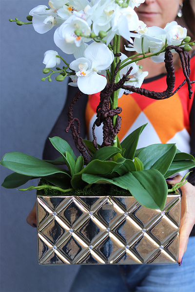 Diamondo Gold 3, storczyk w złotej donicy wysadzanej kryształami