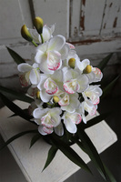 OD RĘKI Ramesa Cymbydium, sztuczny storczyk doniczkowy, wys.55cm