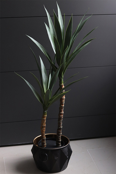 Jukka Modena, sztuczna roślina drzewko