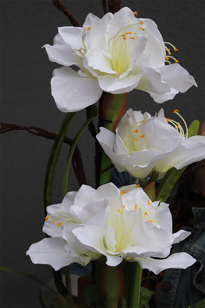 Amarylia Big, dekoracja kwiatowa z amarylisem, wys.110cm 