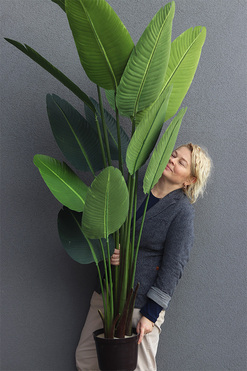 Bananowiec, sztuczne drzewko w osłonce donicy, wys.175cm 