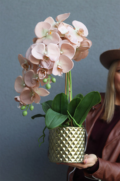 Capuccino Gold, sztuczny storczyk w złotej donicy, wys.55cm  