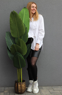 Bananowiec Bellis, sztuczna roślina w donicy, wys.160cm