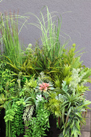 Fiberglass Black Suculentas, podłogowa dekoracja z trawami