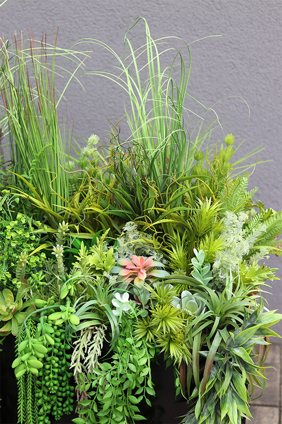 Fiberglass Black Suculentas, podłogowa dekoracja z trawami