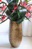 Princera Rubinowa Strelicja 3, kompozycja w złotej donicy