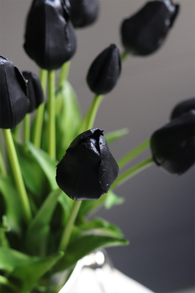 Cooler Black Tulips, nowoczesna wiosenna dekoracja