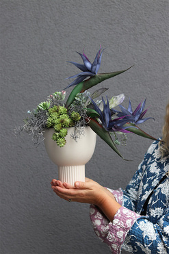 Elenita Blue, kompozycja kwiatowa ze strelicją, wym.42x40cm