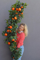 Olimpia Pomarańcze, zielona girlanda dekoracyjna z owocami