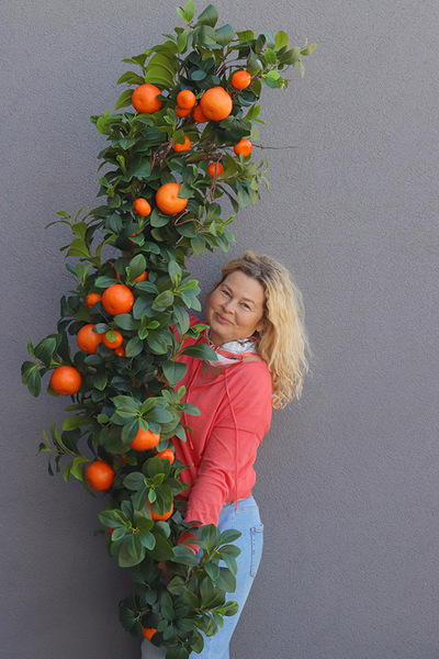 Olimpia Pomarańcze, zielona girlanda dekoracyjna z owocami