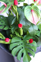 Volcan Melite Tulips, nowoczesna kompozycja nagrobna