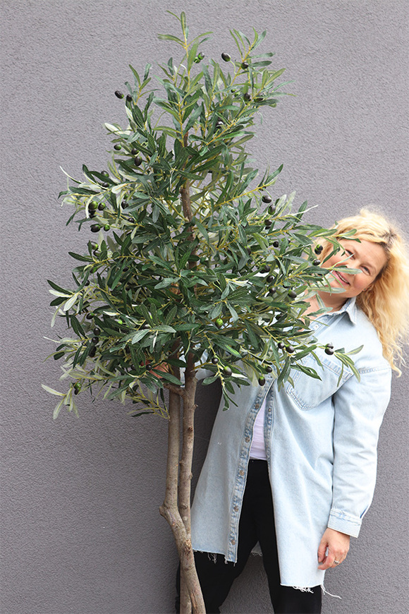 Drzewko Oliwne Hiltonka, sztuczna roślina w srebrnej donicy